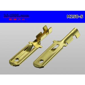 ●矢崎総業250型Mターミナル(Sサイズ:0....の詳細画像1