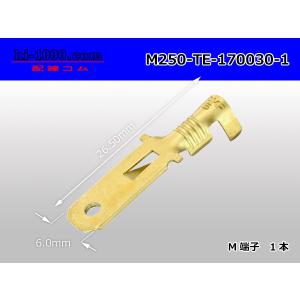 ★在庫限り★TE製 250型 Mターミナル ターミナルランスタイプ（Mサイズ）/M250-TE-170030-1