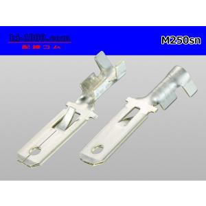 ●矢崎総業250型Mターミナル(Mサイズ:0....の詳細画像1