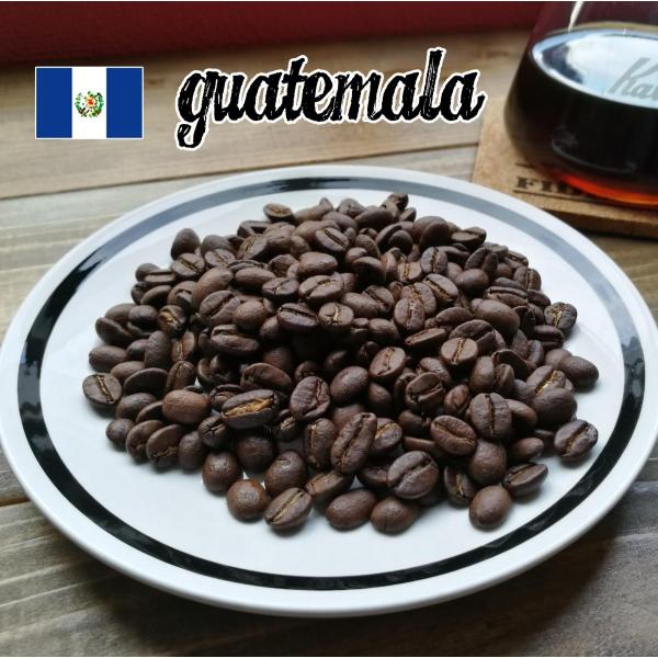 グアテマラ　エスペランサ農園 ２００ｇ　自家焙煎コーヒー豆　スペシャルティコーヒー