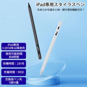 スマートペンシル スタイラスペン iPad専用 タッチペン ハイハイ iPad 筆圧感知 ペンシル イラスト 残量表示 磁石 極細 電池不要 替え芯付き｜hi-highstore