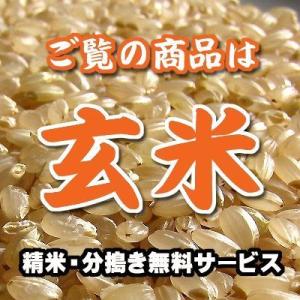 愛知産 あいちのかおり 玄米 1kg