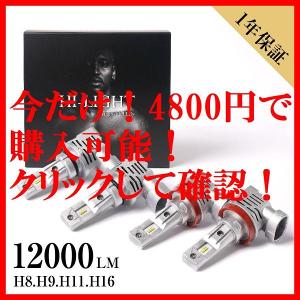58％OFF/3990円 RR系エリシオン 車検対応 明るい12000LM ホワイト LEDフォグラ...