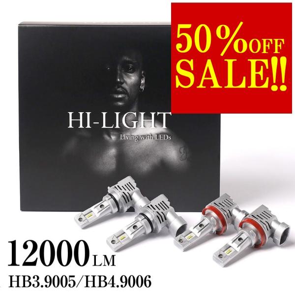 エルグランド E50 E51 H12.8?H22.7 車検対応 明るい12000LM ホワイト カス...