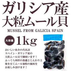 ムール貝 ガリシア産 大粒ムール貝 約1kg スペイン産