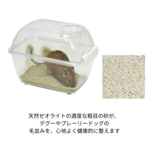 三晃商会 410 デグーサンド 1.5kgの詳細画像1