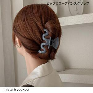 ヘアクリップ レオパード柄ヘアクロウクリップミニバンスクリップ 大人