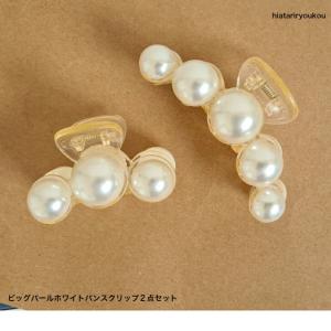 【新品未使用】ヘアクリップ　tanakadaisuke 2個セット tanakadaisuke（タナカダイスケ） ヘアクリップ 「tanakadaisuke