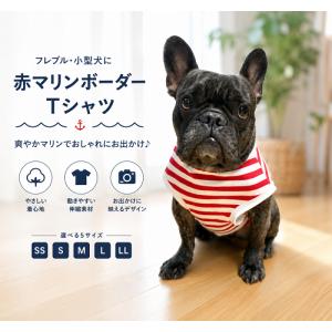 涼感 サラサラ肌触り フレンチブルドッグ 服 フレブル 夏服 インスタ