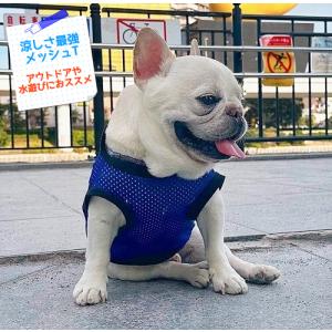 フレンチブルドッグ 服 フレブル服 パグ服 ハートtoハート 君に届け