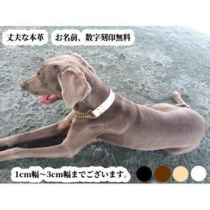 並行輸入品】犬用 スタッズ首輪 《ブラック》 Sサイズ トゲ スパイク