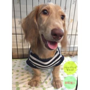 犬服 ドッグウェア パーカー ダックスフンド ミニチュアダックス 無地
