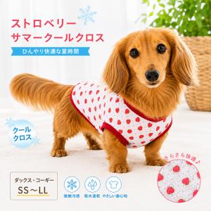 DAKS（ダックス） ダックスフンド 服 ストライプ ボーダー Tシャツ