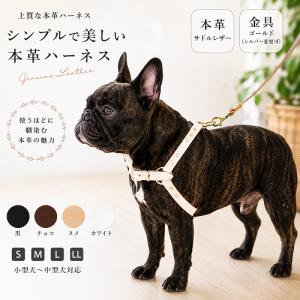 LOUIS VUITTON（ルイ・ヴィトン） ドッグ リーシュ モノグラム