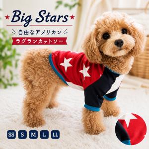 Big Stars 自由なアメリカン ラグランカットソー チワワ 服 トイプードル 服　小型犬 服