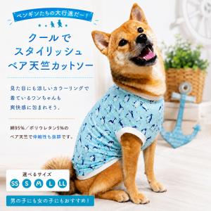 ラファンシーズ P.P.T.コートトリートメント 1000ml（ラファンシーズ