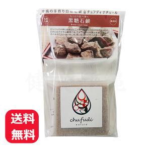 パパイヤ石鹸 100g メール便送料無料 パパイヤ酵素 パパイン酵素 洗顔