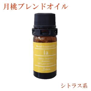 月桃 エッセンシャルオイル 精油 シマ月桃 5ml 日本月桃 沖縄 お土産