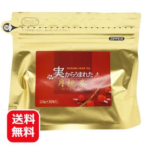 月桃茶 ゲットウ茶 ティーパック 日本月桃 実から生まれた月桃茶 30包