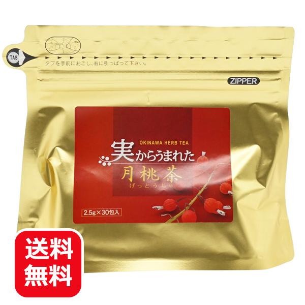 月桃茶 沖縄 実 種 実から生まれた月桃茶 30包 メール便送料無料 日本月桃 ティーバッグ