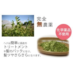 ヘナカラー 白髪染め トリートメント おきなわ...の詳細画像3
