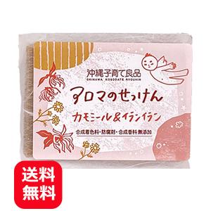パパイヤ石鹸 100g メール便送料無料 パパイヤ酵素 パパイン酵素 洗顔