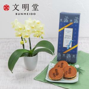 父の日 花 スイーツ 文明堂「ありがとうの焼印入り月三笠（5個入り）どら焼き」とラン鉢のセット 日比谷花壇公式ショップ｜hibiyakadan