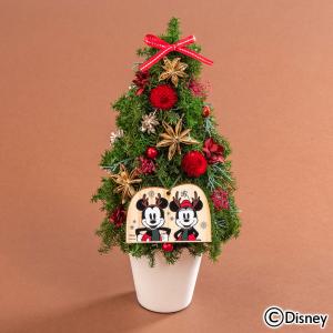 クリスマス プリザーブドフラワー クリスマスギフト特集 日比谷花壇 Paypayモール店 通販 Paypayモール