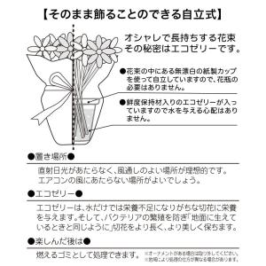 日比谷花壇公式 敬老の日 そのまま飾れるブーケ...の詳細画像5