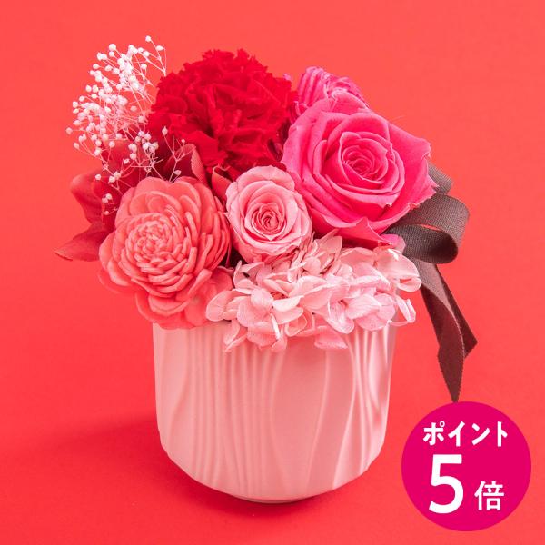 【母の日早期特典】4月27日 23時59分までポイント5倍！【日比谷花壇公式】母の日 赤ピンク系 プ...