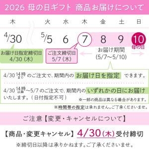 母の日 早期特典ポイント10倍中!【日比谷花壇...の詳細画像5