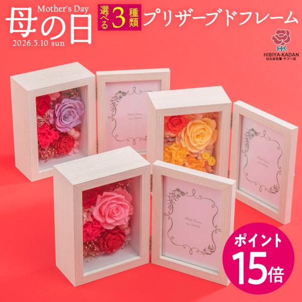 【母の日早割】4月15日 9時59分まで特別価格 5%OFF！【日比谷花壇公式】母の日 3色から選べ...