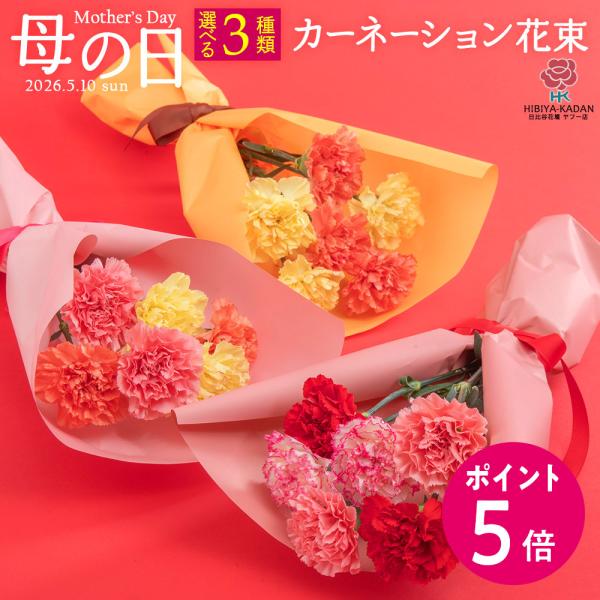 【母の日早期特典】4月27日 23時59分までポイント5倍！【日比谷花壇公式】母の日 3色から選べる...