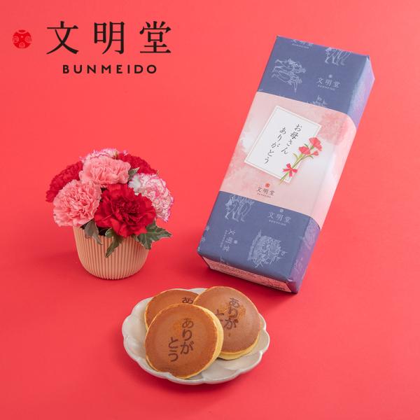 【母の日早期特典】4月27日 23時59分までポイント5倍！【日比谷花壇公式】母の日 文明堂「ありが...