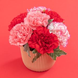 母の日 早期特典ポイント10倍中!【日比谷花壇...の詳細画像1