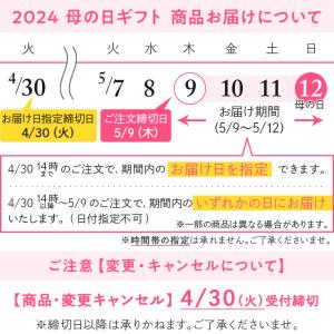 【販売終了】母の日 2024 カーネーション「...の詳細画像3