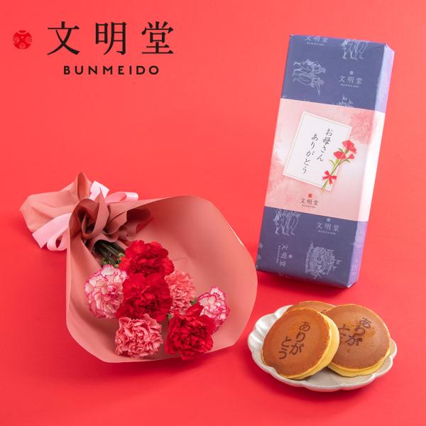 【母の日早期特典】4月27日 23時59分までポイント5倍！【日比谷花壇公式】母の日 文明堂「ありが...