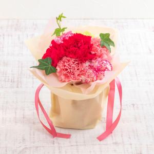 【日比谷花壇公式】母の日 銀座千疋屋「銀座ゼリ...の詳細画像1