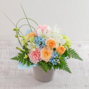 日比谷花壇公式 誕生日 花 アレンジメント「Pure Breeze」 記念日 お見舞い 出産祝い 結婚記念日 退職祝い