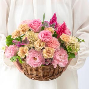 日比谷花壇公式 誕生日 花 9月旬の花 ケイトウ...の商品画像