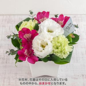 日比谷花壇公式 誕生日 花 お供え用 アレンジメ...の商品画像