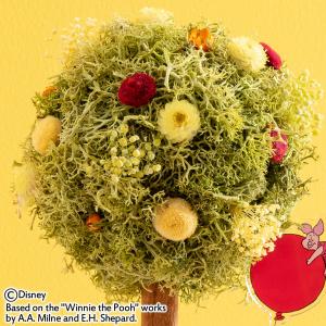 日比谷花壇公式 誕生日 花 ディズニー「くまの...の詳細画像2
