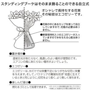 日比谷花壇公式 誕生日 花 花束 そのまま飾れ...の詳細画像5
