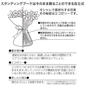 日比谷花壇公式 誕生日 花 花束 そのまま飾れ...の詳細画像5