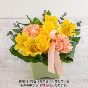 日比谷花壇公式 誕生日 花 近沢レース店「シー...の詳細画像4