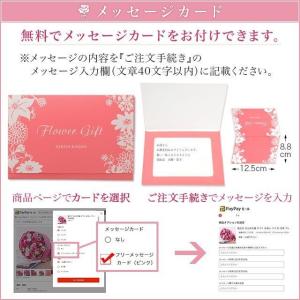 日比谷花壇公式 花鉢 ギフト バラ セントラル...の詳細画像4
