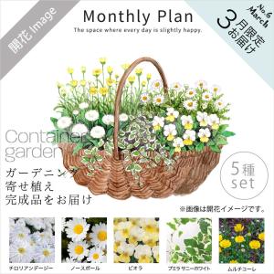 日本産 供花 花キューピット Hd02 3本立 開花輪白33以上 花鉢 お供え胡蝶蘭 お供え胡蝶蘭 仏花 お 命日 お盆 仏事 法事 造花 アートフラワー Aiwr Org
