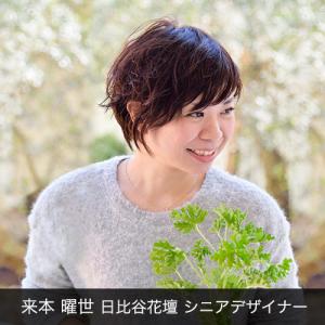 日比谷花壇公式 花鉢 ギフト 胡蝶蘭「日比谷花...の詳細画像1