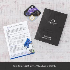 日比谷花壇公式 花鉢 ギフト 青色 胡蝶蘭「B...の詳細画像5