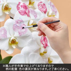 日比谷花壇公式 花鉢 ギフト 胡蝶蘭「日比谷花...の詳細画像2